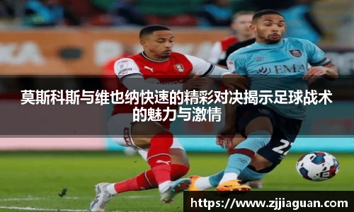 3377官网